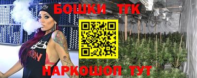 индика Тверь