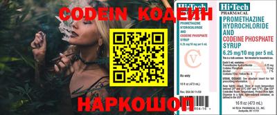 индика Тверь