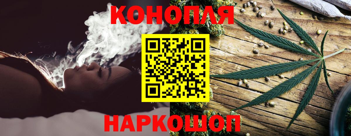 Каннабис OG Kush Краснодар